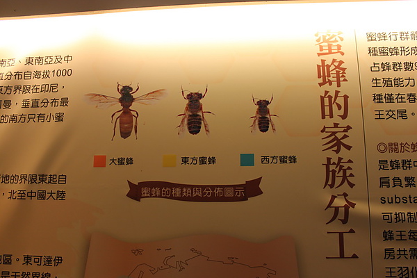 IMG_2041_調整大小.JPG IMG_2041_調整大小.JPG