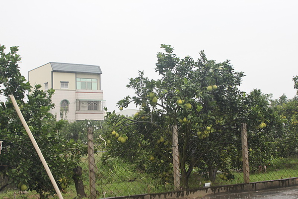 IMG_1994_調整大小.jpg IMG_1994_調整大小.jpg