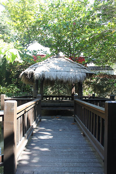 IMG_2262_調整大小.jpg IMG_2262_調整大小.jpg