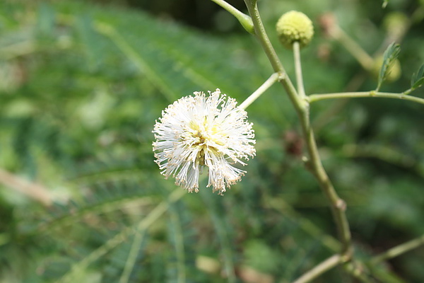 IMG_2304_調整大小.JPG IMG_2304_調整大小.JPG