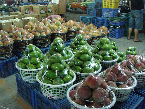 DSC00492_調整大小.JPG DSC00492_調整大小.JPG