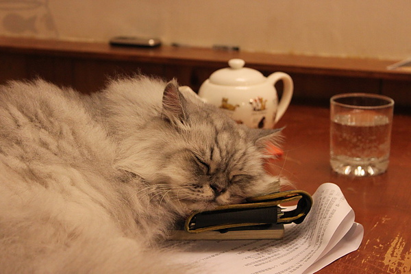 IMG_0170_調整大小.jpg IMG_0170_調整大小.jpg