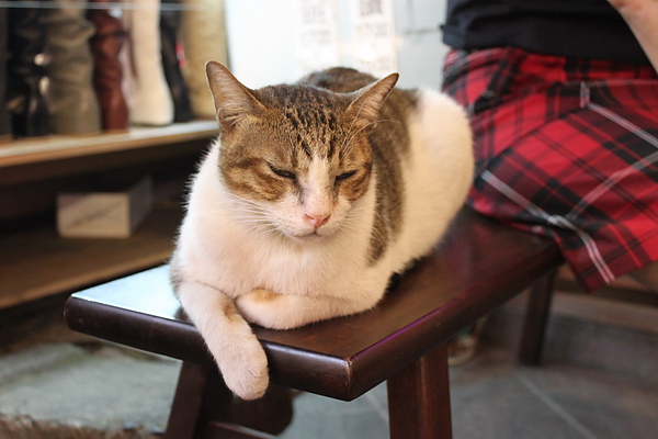 IMG_0187_調整大小.jpg IMG_0187_調整大小.jpg