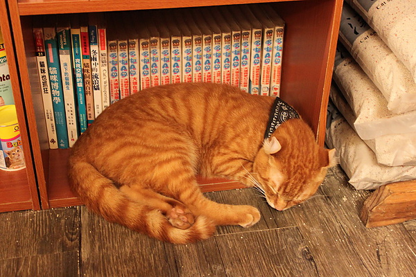 IMG_0158_調整大小.jpg IMG_0158_調整大小.jpg