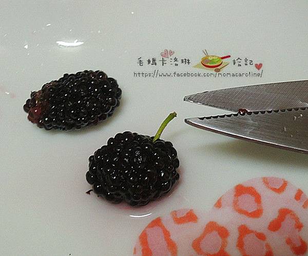 DSCN9399_副本.jpg DSCN9399_副本.jpg