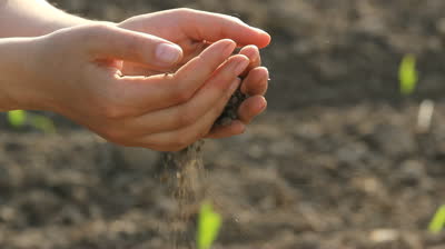 stock-footage-fertile-soil-pour-from-framer-hand-dust-in-the-wind