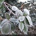 DSCF5955.jpg