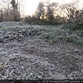 DSCF5957.jpg