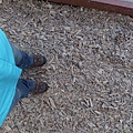 DSCF5976.jpg