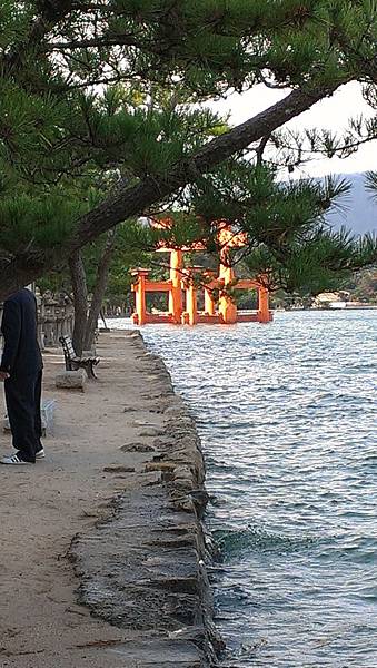 厳島神社鳥居、海の上