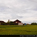 P2017395.JPG
