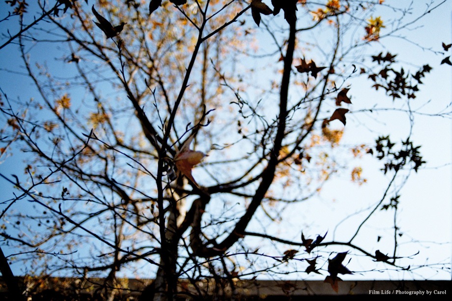0225fm2_015.jpg 0225fm2_015.jpg