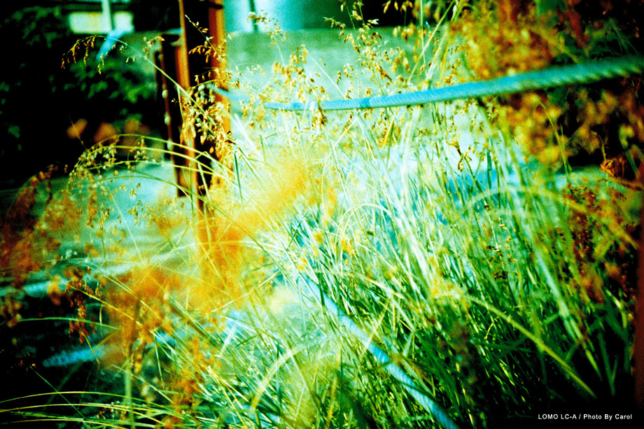 Negative0-31-31(1).jpg Negative0-31-31(1).jpg