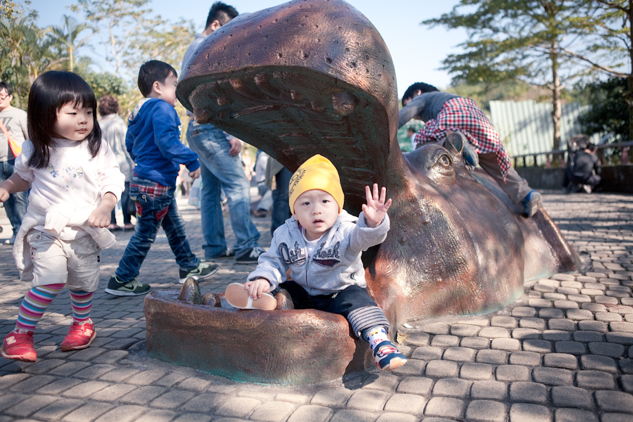 babyzoo_010.jpg babyzoo_010.jpg