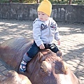 babyzoo_011.jpg