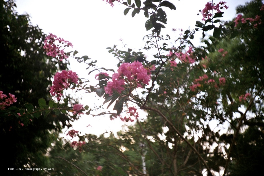 03.jpg 03.jpg