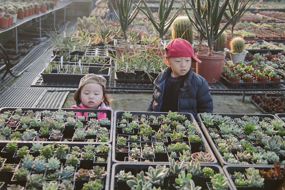 【陽台上的風景】買肉趣‧親子趴趴GO %2F 田尾 佳昌園藝多肉植物 【陽台上的風景】買肉趣‧親子趴趴GO %2F 田尾 佳昌園藝多肉植物