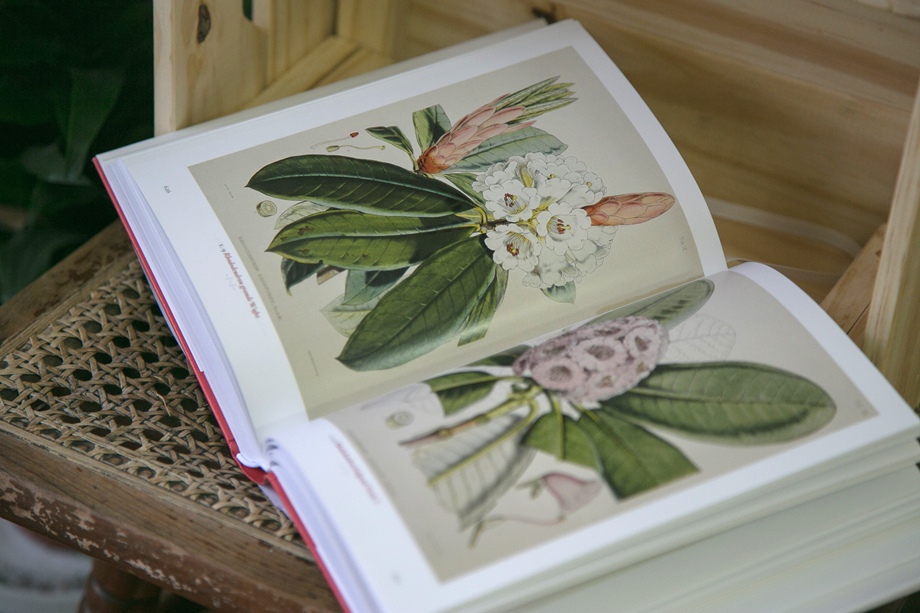 【植物圖鑑】A Garden Eden  、Florilegium %2F  TASCHEN