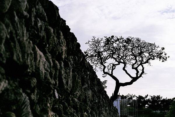 觀音亭國際濱海公園 西瀛虹橋