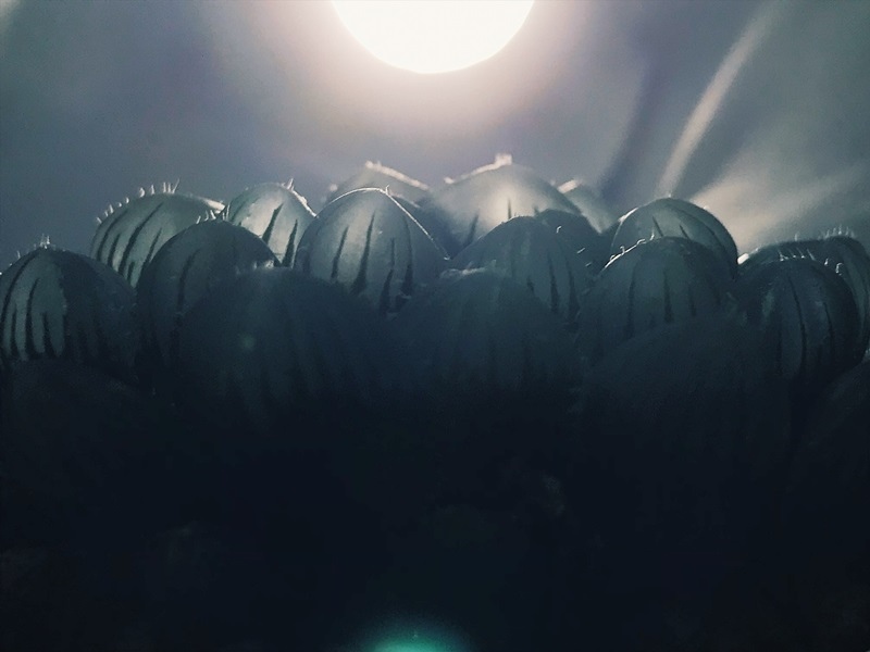 EA38F156-2727-4F6B-AE0C-E0F8CC4310C9.JPG EA38F156-2727-4F6B-AE0C-E0F8CC4310C9.JPG