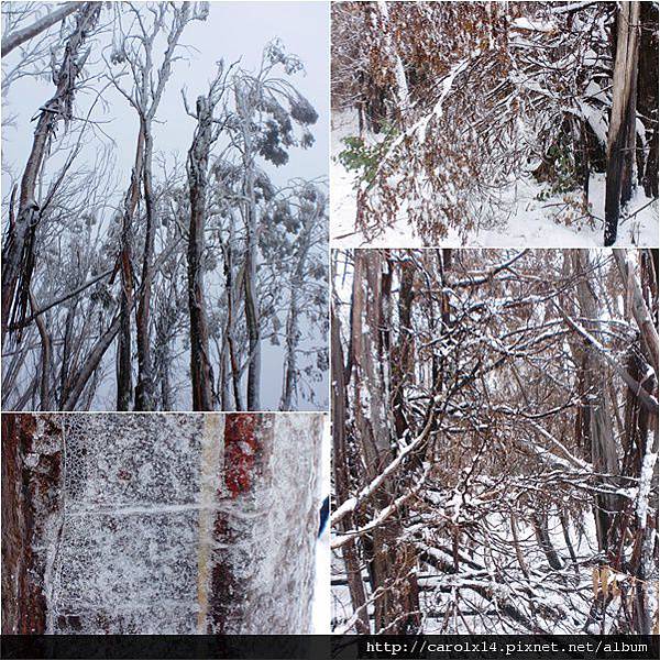 2011_07 看雪去 Lake Mountain