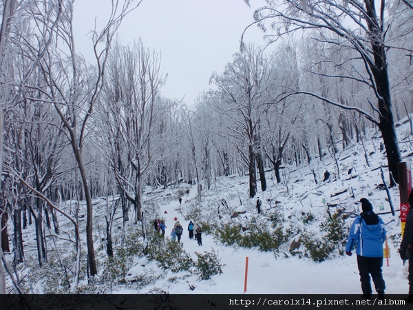 2011_07 看雪去 Lake Mountain