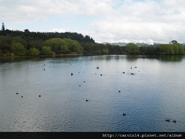 2011_10 New Zealand - Taupo