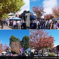 2012_05 Bright Autumn Festival