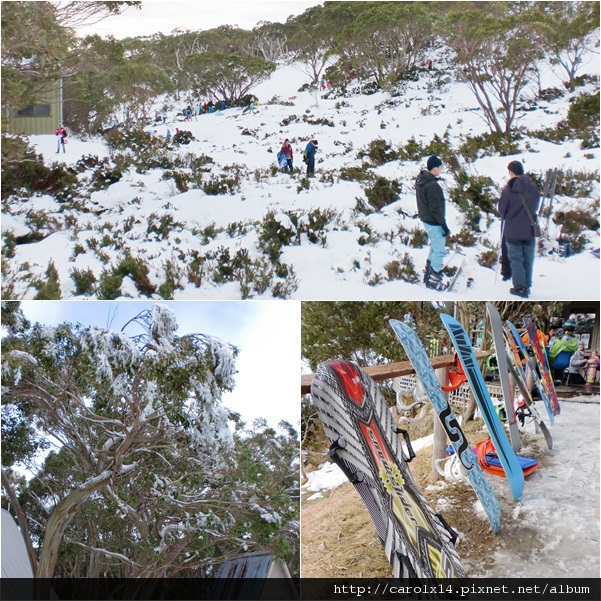 2012_07 Diane in MEL - Mt. Baw Baw