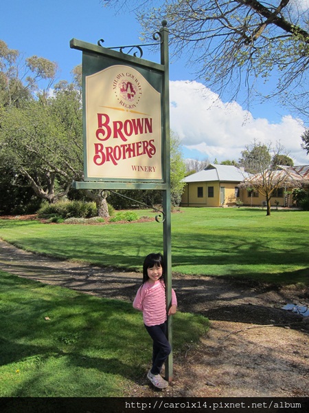 2012_09 Brown Brothers Winery