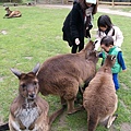 2012_10 Ballarat Wildlife Park