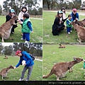 2012_10 Ballarat Wildlife Park