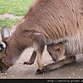 2012_10 Ballarat Wildlife Park