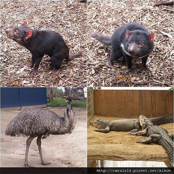 2012_10 Ballarat Wildlife Park