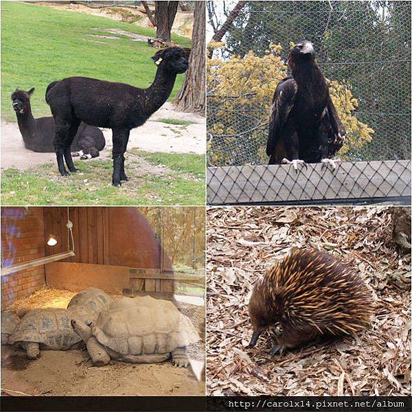 2012_10 Ballarat Wildlife Park