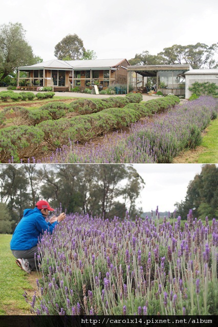 2012_10 芊芊誠誠 in MEL