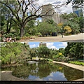 2014_10 City Botanic Gardens