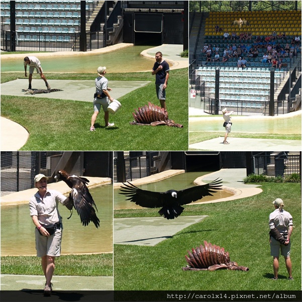 2014_11 Australia Zoo