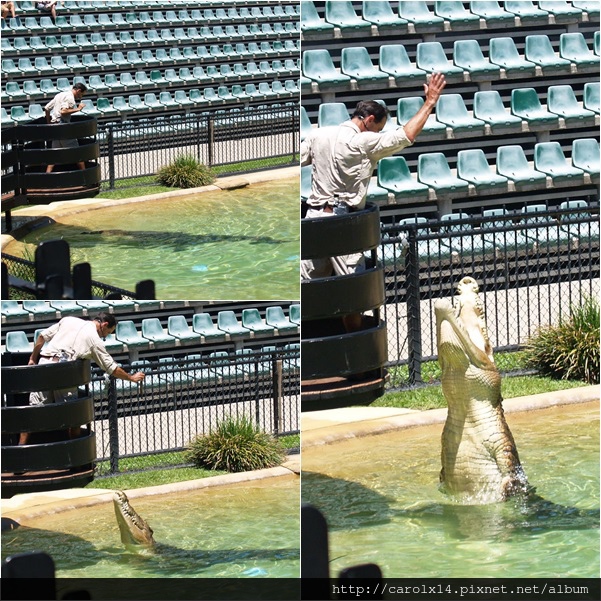 2014_11 Australia Zoo