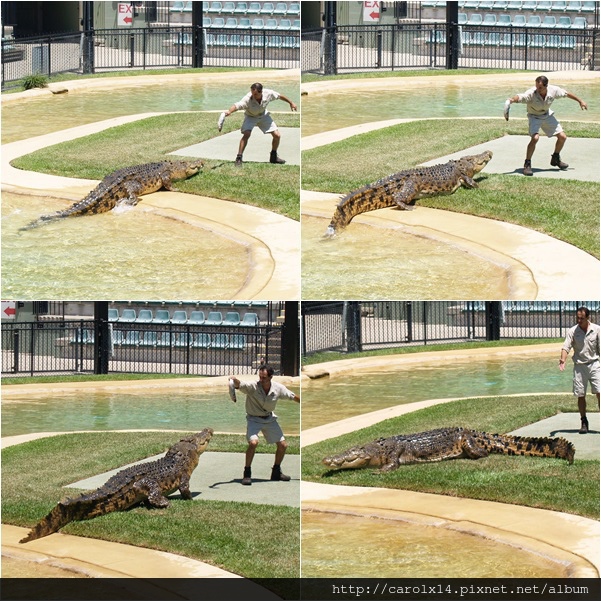 2014_11 Australia Zoo