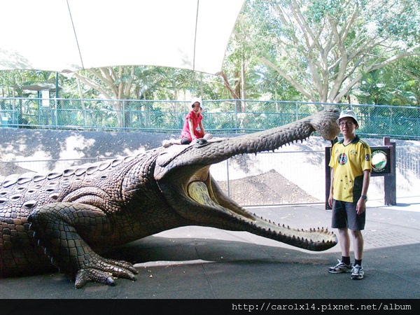 2014_11 Australia Zoo