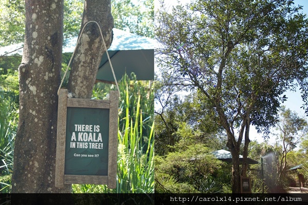 2014_11 Australia Zoo