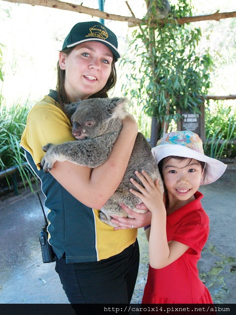 2014_11 Australia Zoo