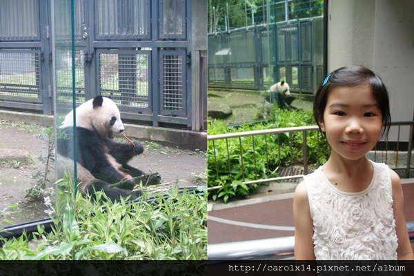 2015_06 Ueno Zoo