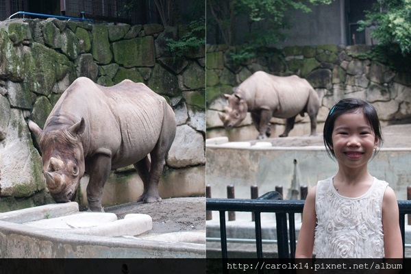 2015_06 東京 上野動物園