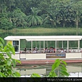 2016_01 Singapore River Safari