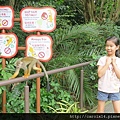 2016_01 Singapore River Safari