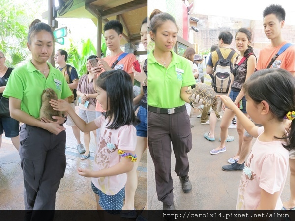 2016_01 Singapore River Safari