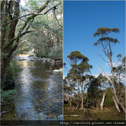 2010_10 Tasmania