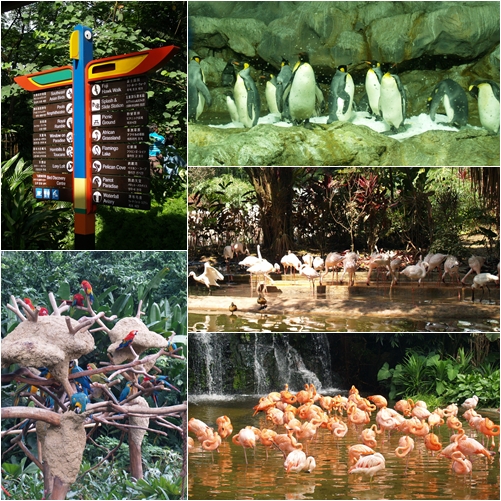 Jurong Bird Park